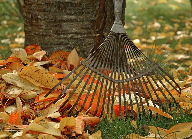 How To Prepare & Cleanup Your Garden For Winter ?